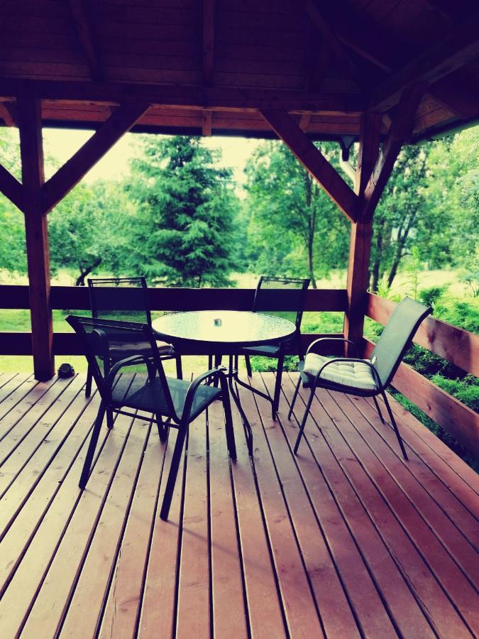 Dom Ignacy Apartment Radochow Екстериор снимка