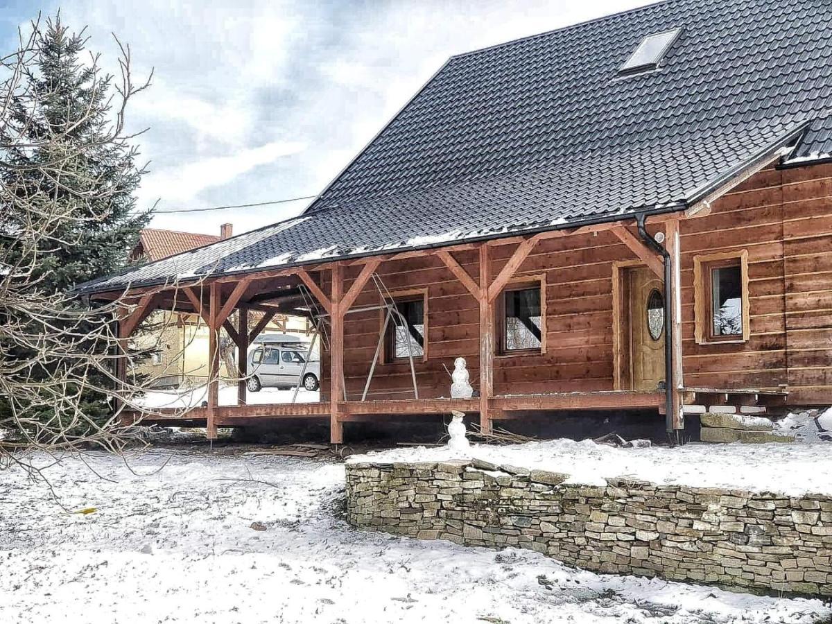Dom Ignacy Apartment Radochow Екстериор снимка