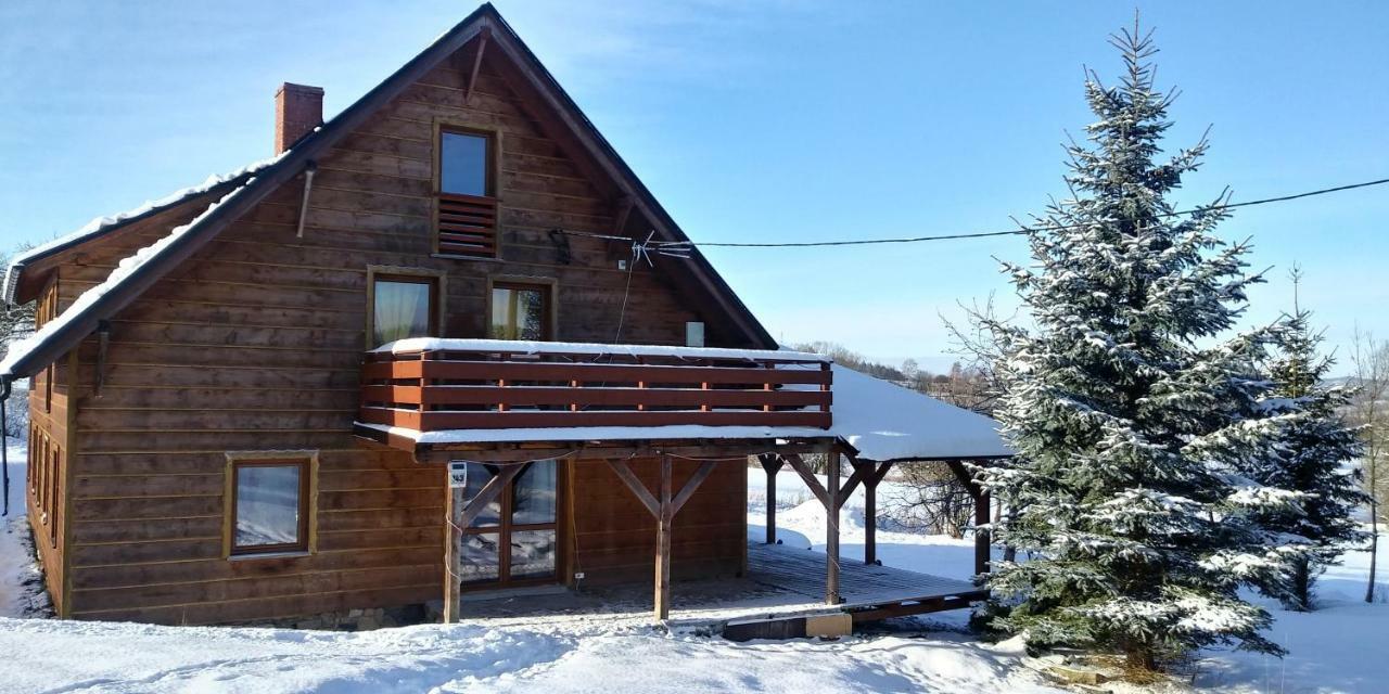 Dom Ignacy Apartment Radochow Екстериор снимка