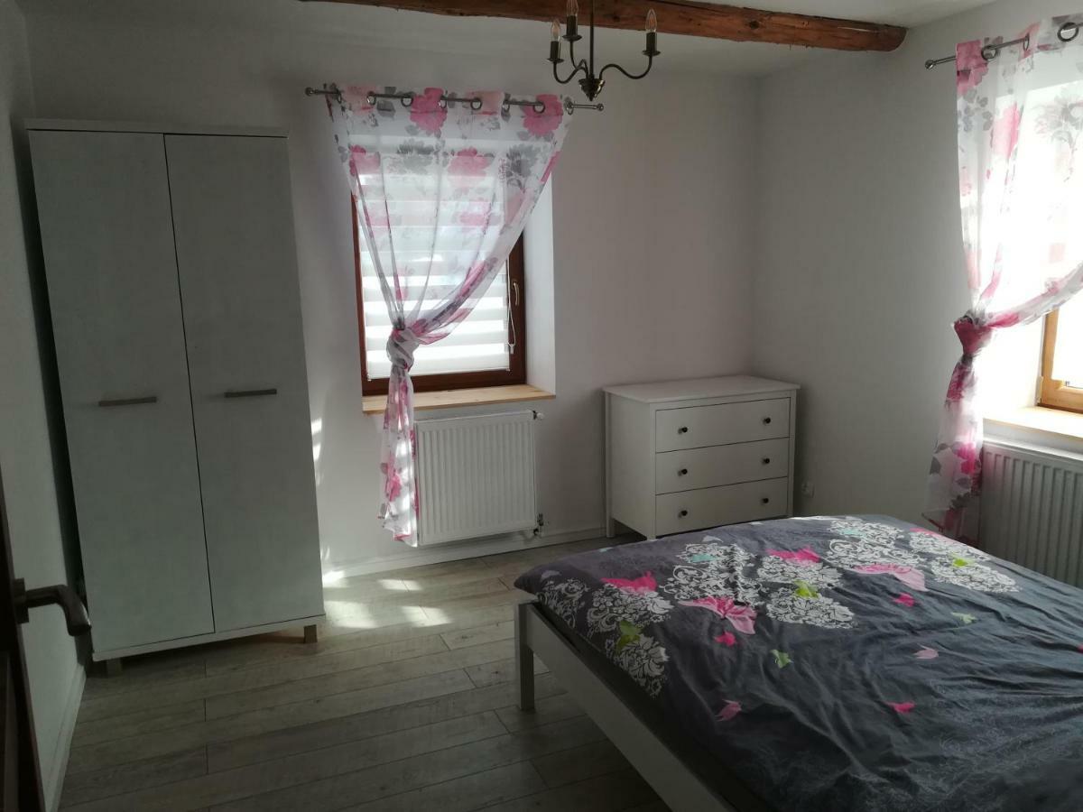 Dom Ignacy Apartment Radochow Екстериор снимка