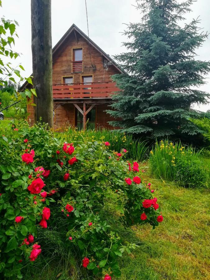 Dom Ignacy Apartment Radochow Екстериор снимка